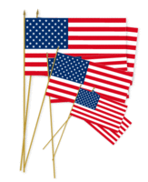 Image American Stick Flags - 8